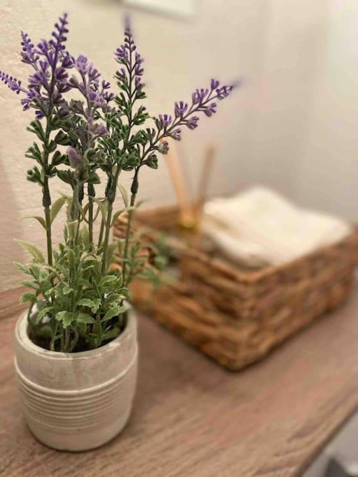 Zentrale Wohnung Gmunden Alte Baeckerei Esterno foto