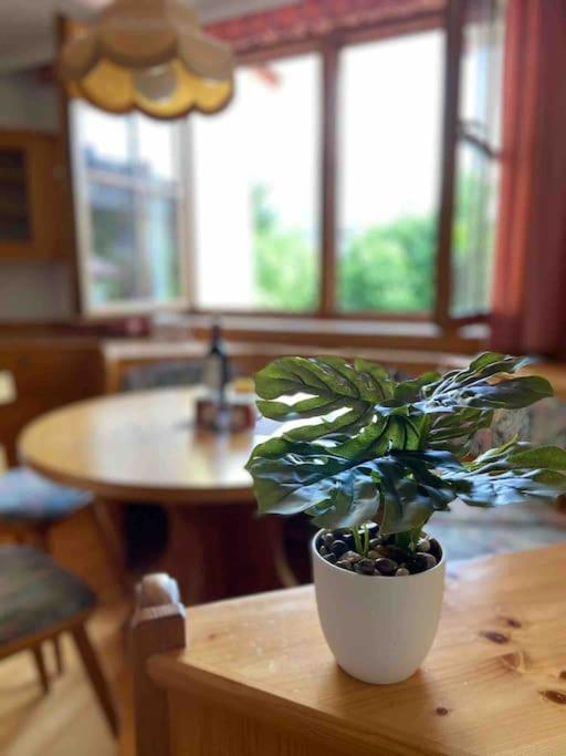 Zentrale Wohnung Gmunden Alte Baeckerei Esterno foto